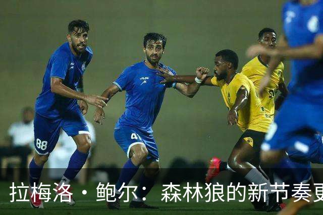拉梅洛·鲍尔：森林狼的新节奏更适合我